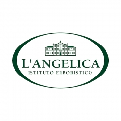 L`ANGELICA